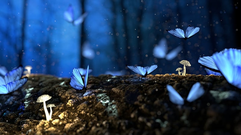 Enchanted Lore